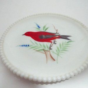 Vtg Westmoreland Milk Glass Hand Painted Scarlet Tanager Plate Beaded Edge 7.5"